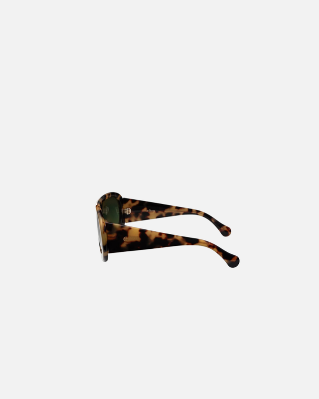 Eliou - Navigator TCG Sunglasses