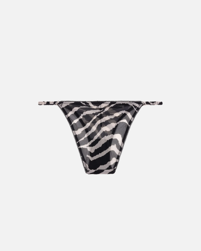 Love Stories - Clio Briefs